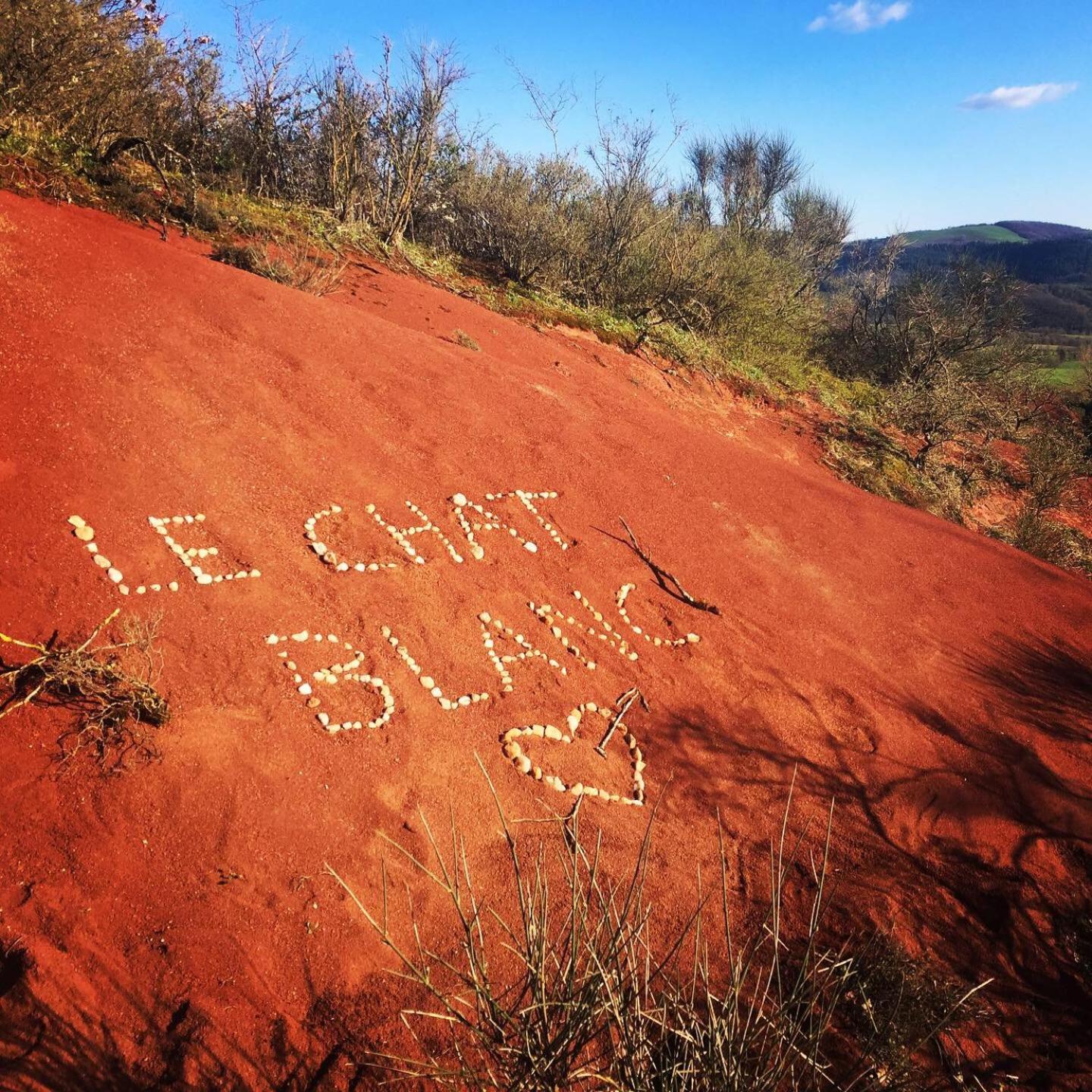 Le Chat Blanc Gite Versols-et-Lapeyre Экстерьер фото